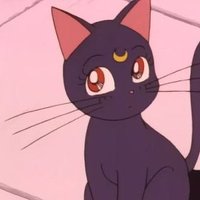 Lucy Mae (@mint_orchids) 's Twitter Profile