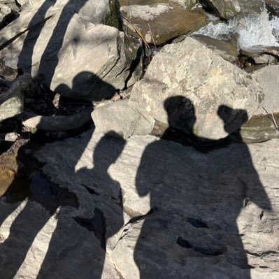 agreatbiglark's profile picture. Once called the most reasonable Sox fan on twitter, but also once called the least cool person on twitter. Probably somewhere in between. 🤷🏽‍♂️