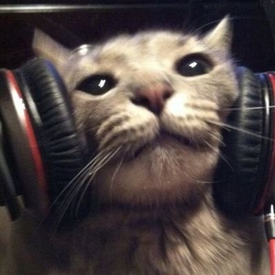 one0erson's profile picture. 