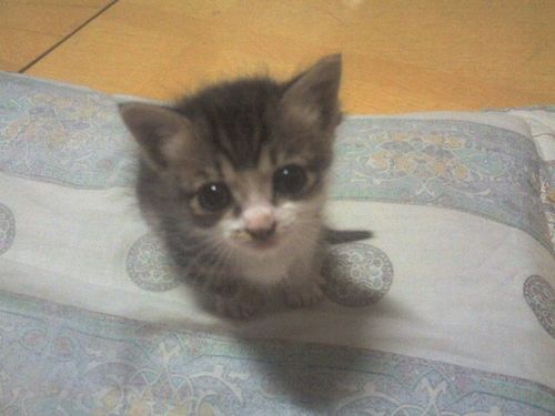 archman75's profile picture. 걷기 좋다