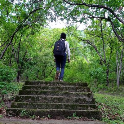 Shailes2412485's profile picture. Research & Development 
Biochemist