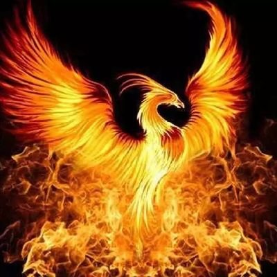 hon67973690's profile picture. 