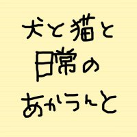 いち(@marocombu) 's Twitter Profile Photo
