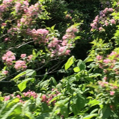 MgQi90's profile picture. 独り言用 /イラスト感想考え方など好きな方をフォローさせていただいております！すてきです！