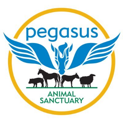 A haven for abused, abandoned, and neglected farm animals.
Here, we give them a second chance at life in a loving environment. ♡
Visit our website to donate! ☟