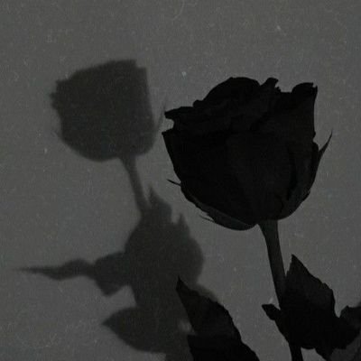 by_mari338's profile picture. mari  
@flamengo