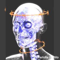 Charlotte Portillo (@_prtillocharot) 's Twitter Profile