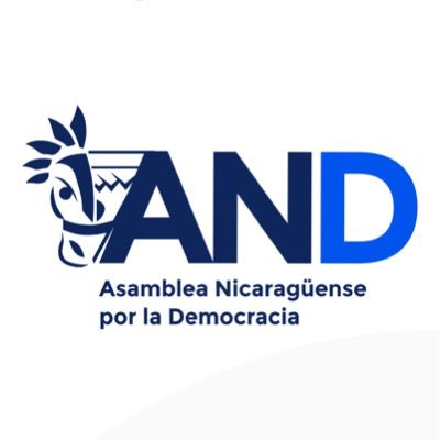 La Asamblea Nicaragüense por la Democracia propicia espacios intergeneracionales e intersectoriales para restaurar la democracia en #Nicaragua.