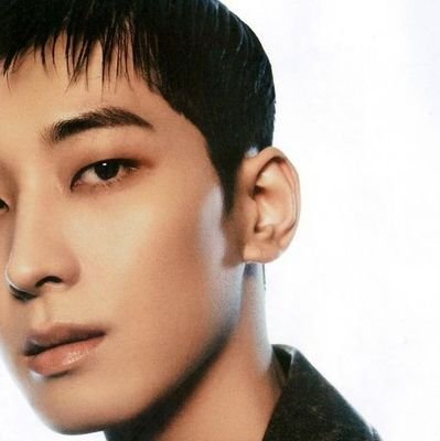 wwoodipity's profile picture. life's better with svt, i believe. 🌸