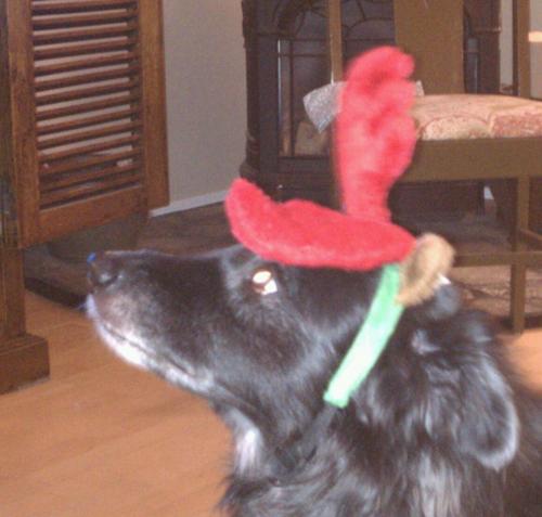 bamainwy's profile picture. I have been living in Jackson Hole, WY since the summer of 1999.  I am the managing partner of The Liquor Store @TLSofJH.  I have been married since 9/17/2011.