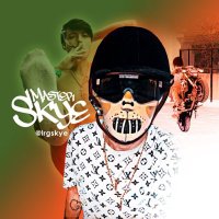 Master Skye👑 (3.3k) (@lrgskye) 's Twitter Profile Photo