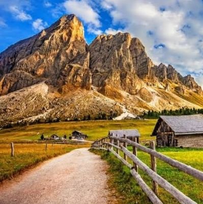 bsw_sex's profile picture. 