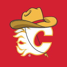 200iqflamesfan's profile picture. 13eternal | proud Calgarian | gfg