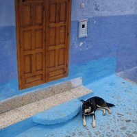 Ferihap (@ferihap) 's Twitter Profile