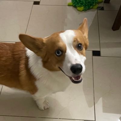 recruiterAng's profile picture. 