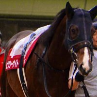 鈴鹿 (@ayasuke06) 's Twitter Profile Photo