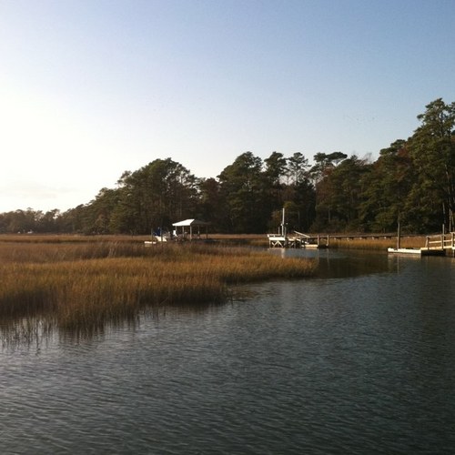 tjcummons's profile picture. 