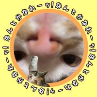幸助 (@kousukekorokoro) 's Twitter Profile