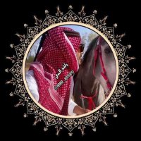 سمو المشاعر (@rmr_almarri) 's Twitter Profile