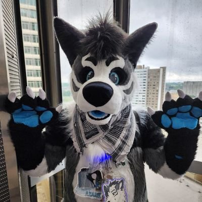 arcaninewoof2's profile picture. The floofiest arc around,  mated/gimme all da snuggs!!! AD is @Arcaninewoof
