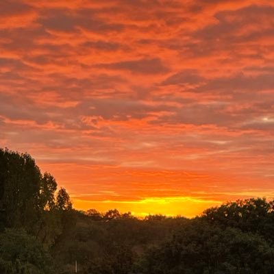 Twinkle00071's profile picture. 