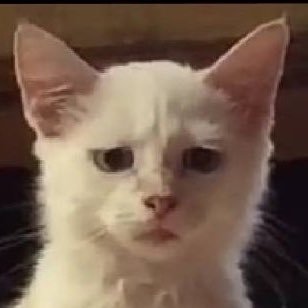 jororisjaowice's profile picture. ตถตา Peace is the highest bliss. 🐈‍⬛