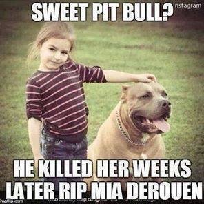 https://t.co/NjDmiu1rRr 

Bull Breeds kill more animals, people and children than ALL other breeds COMBINED! 

https://t.co/EUgjaFFDVH