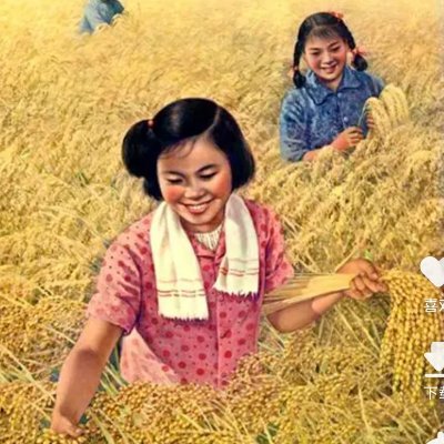 QianLanPo's profile picture. Trader, Student of Mr Market