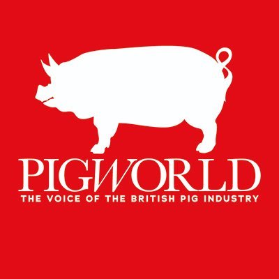 Pig World