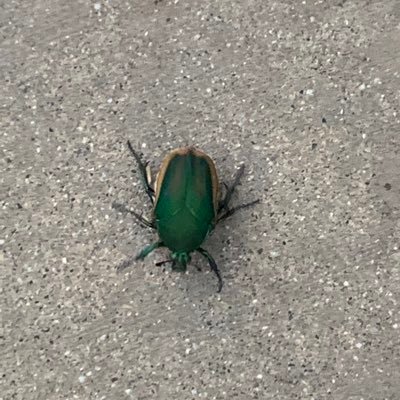 Cwo0Je's profile picture. ….