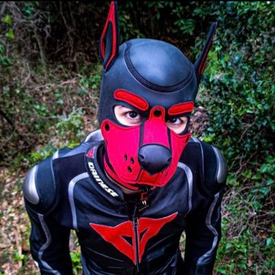20y gay Puppy in relationship whits a amazing Puppy @skythepup_NSFW 🥰 ❤️ 🐾