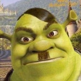 Suprme98716160's profile picture. shrek