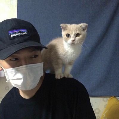 GUIv0gMBED17090's profile picture. 