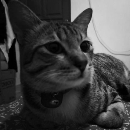 Intensindie94's profile picture. beyond the waves