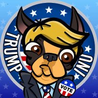 Trump Inu 💲🚀💎(@TrumpInu_BSC) 's Twitter Profile Photo