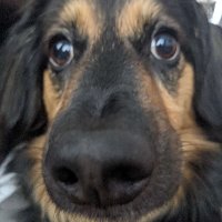 Are (@are_wski) 's Twitter Profile
