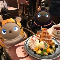 🆕きなこ&ここあ (@zr6bp01cxx38582) 's Twitter Profile