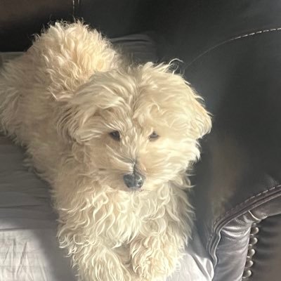 Bunny46187471's profile picture. 