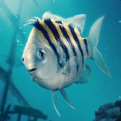 jeshin_tappuri's profile picture. 後から振り返った私が笑顔になるための日記です