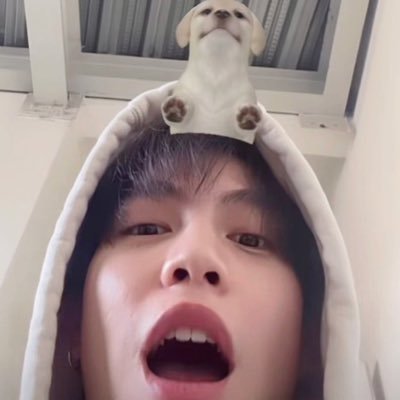 24xfflufy's profile picture. ⠀ ⠀ 𓈒 อะไรที่เป็นเฟิร์ส ก็น่ารักทุกสิ่งนั่นแหละ 🐈‍⬛!♡ ⠀ ⠀ ⠀ ⠀⠀ ⠀ ⠀ ⠀ ⠀ ⠀ ⠀ ⠀ ⠀ ⠀ ⠀ ⠀ ⠀ ⠀