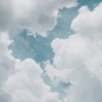 محمد الشمّري (@muu7aa) 's Twitter Profile