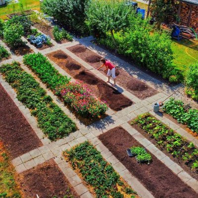 🌱 Gardening community 🌱