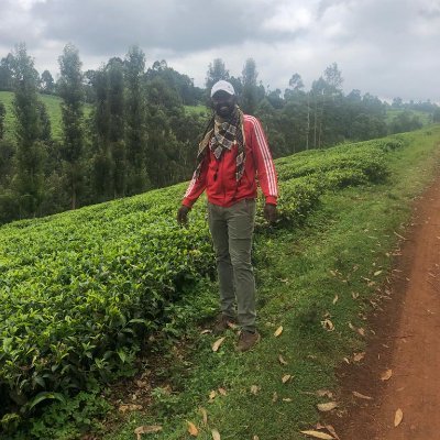 Kamangara's profile picture. Rastaman