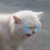 byeol (@hiiiitriii) Twitter profile photo byeol (@hiiiitriii) Twitter profile photo