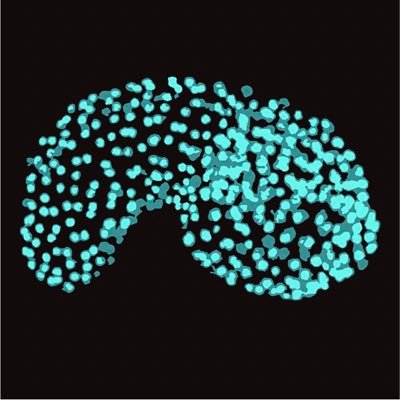 PhD student @ Kyoto U | EvoDevo | transcriptional regulation | GRN | ascidian | amphioxus
