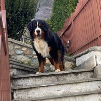 Brendi38 (@sbree__) 's Twitter Profile