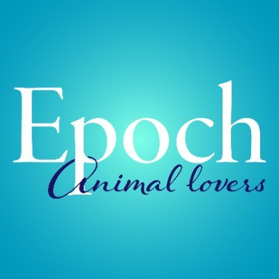 Posting great videos about animals and pets
 | 
Posting Stories to shine a light on the good in humanity
 | 
Epoch Mall on Amazon: https://t.co/d7HNTJ9pQz