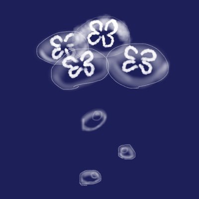 wawa_buku_buku's profile picture. 