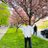 abhuawasthi's profile image
