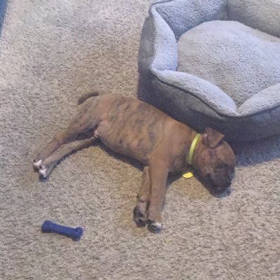 straightsatinx's profile picture. Straight male. Wife just asked for divorce after 35 years. I love women’s lingerie. To old to crossdress in public but like it in private no interest in men.